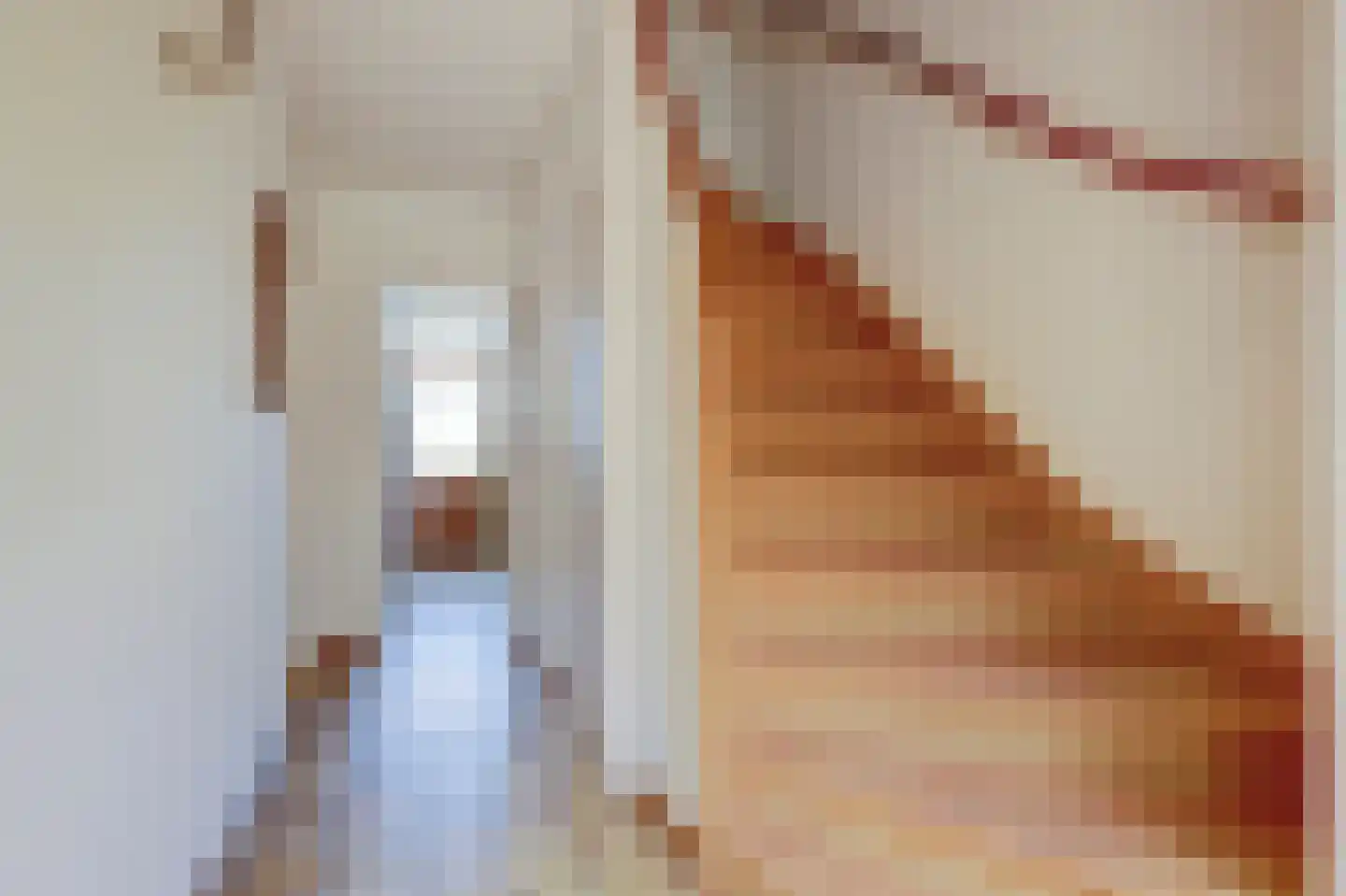 van Hamalstraat 20 De Lier thumbnail 10