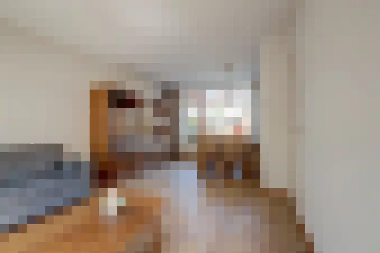 van Hamalstraat 20 De Lier thumbnail 12