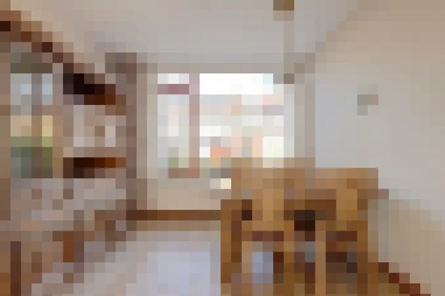 van Hamalstraat 20 De Lier thumbnail 14