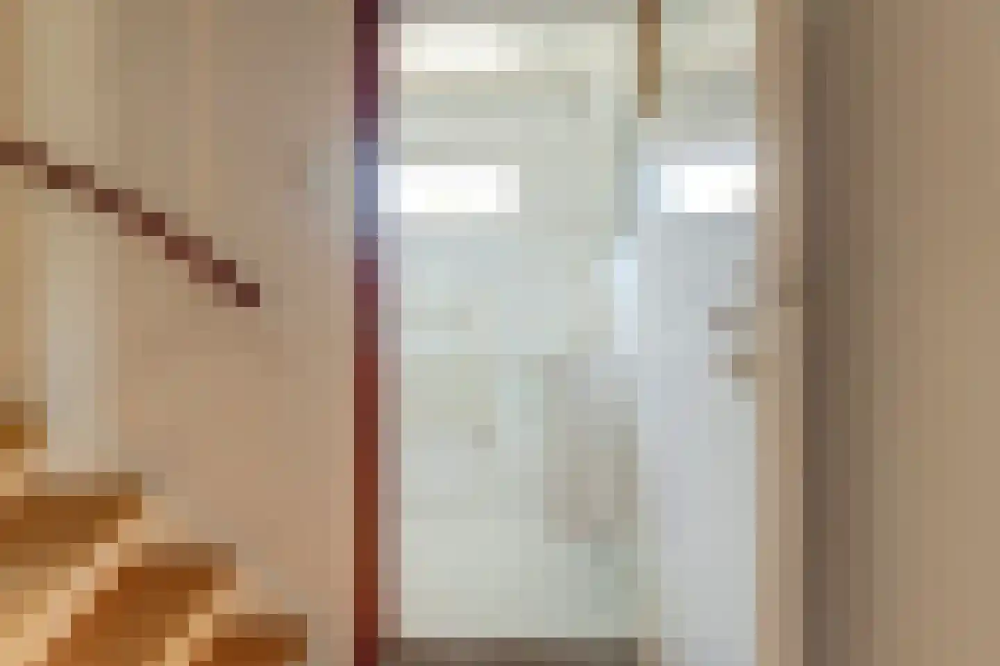 van Hamalstraat 20 De Lier thumbnail 18