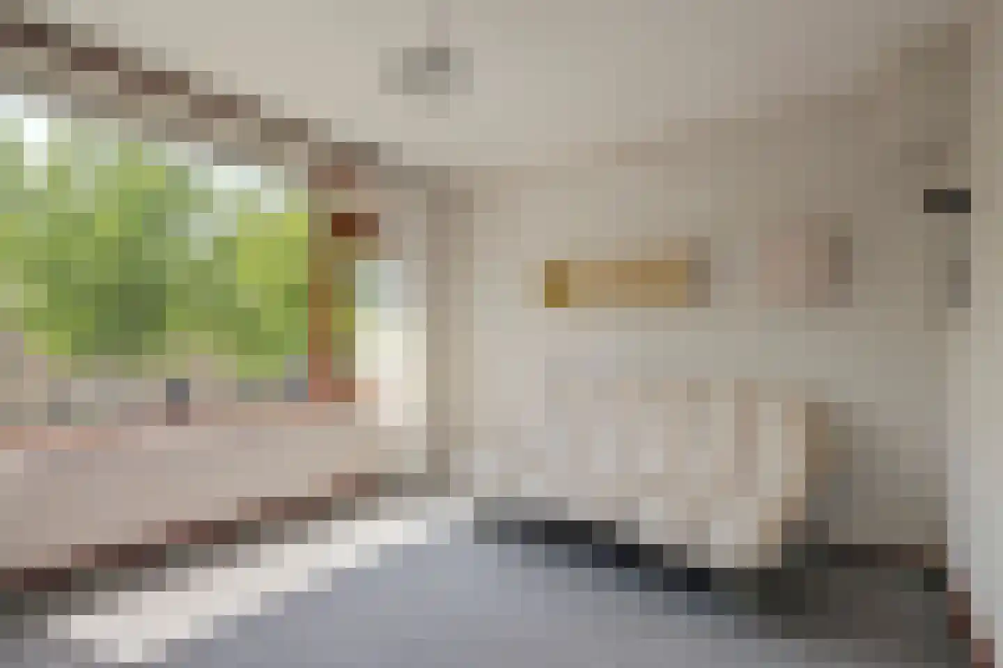 van Hamalstraat 20 De Lier thumbnail 22