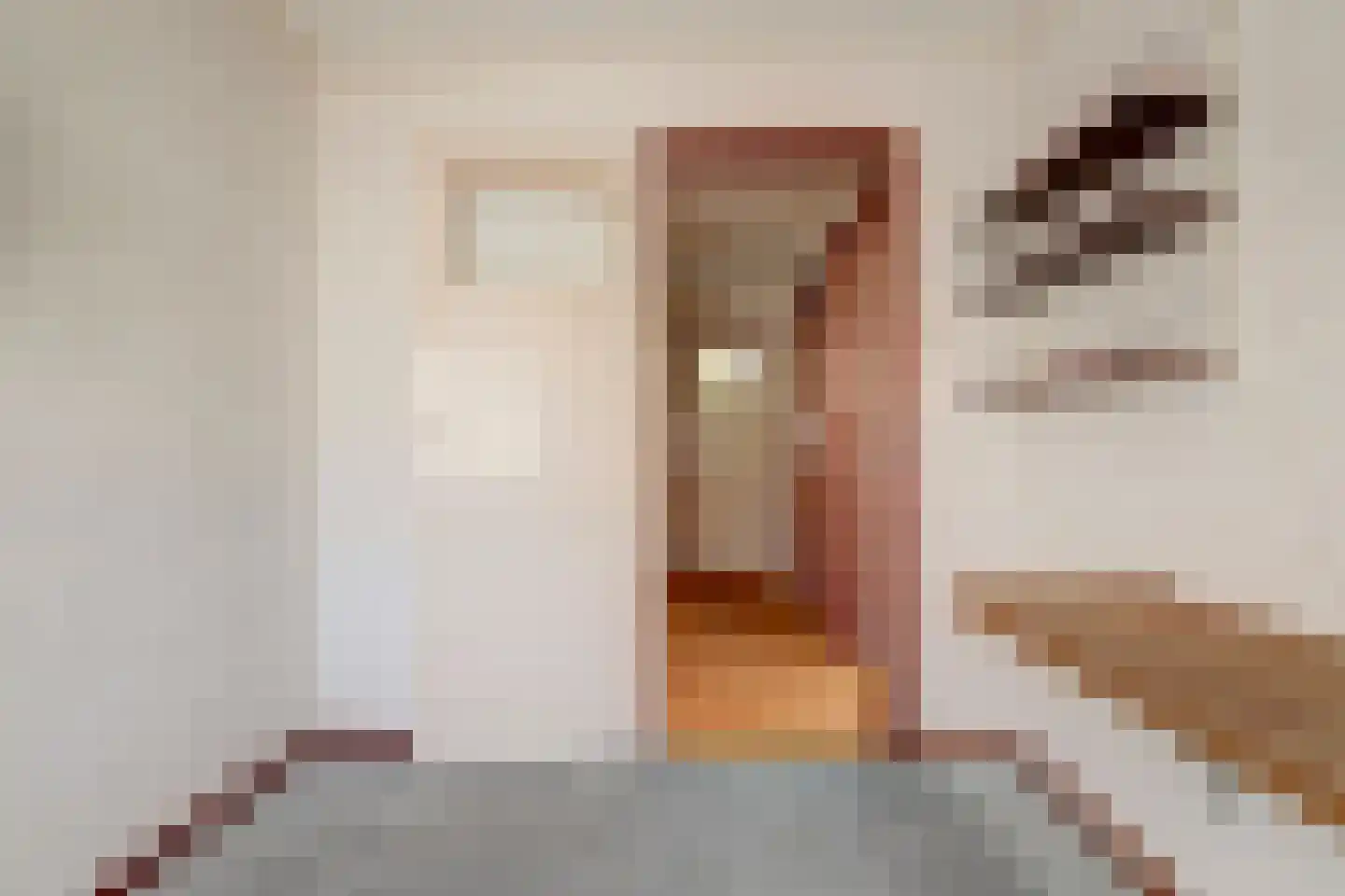 van Hamalstraat 20 De Lier thumbnail 24