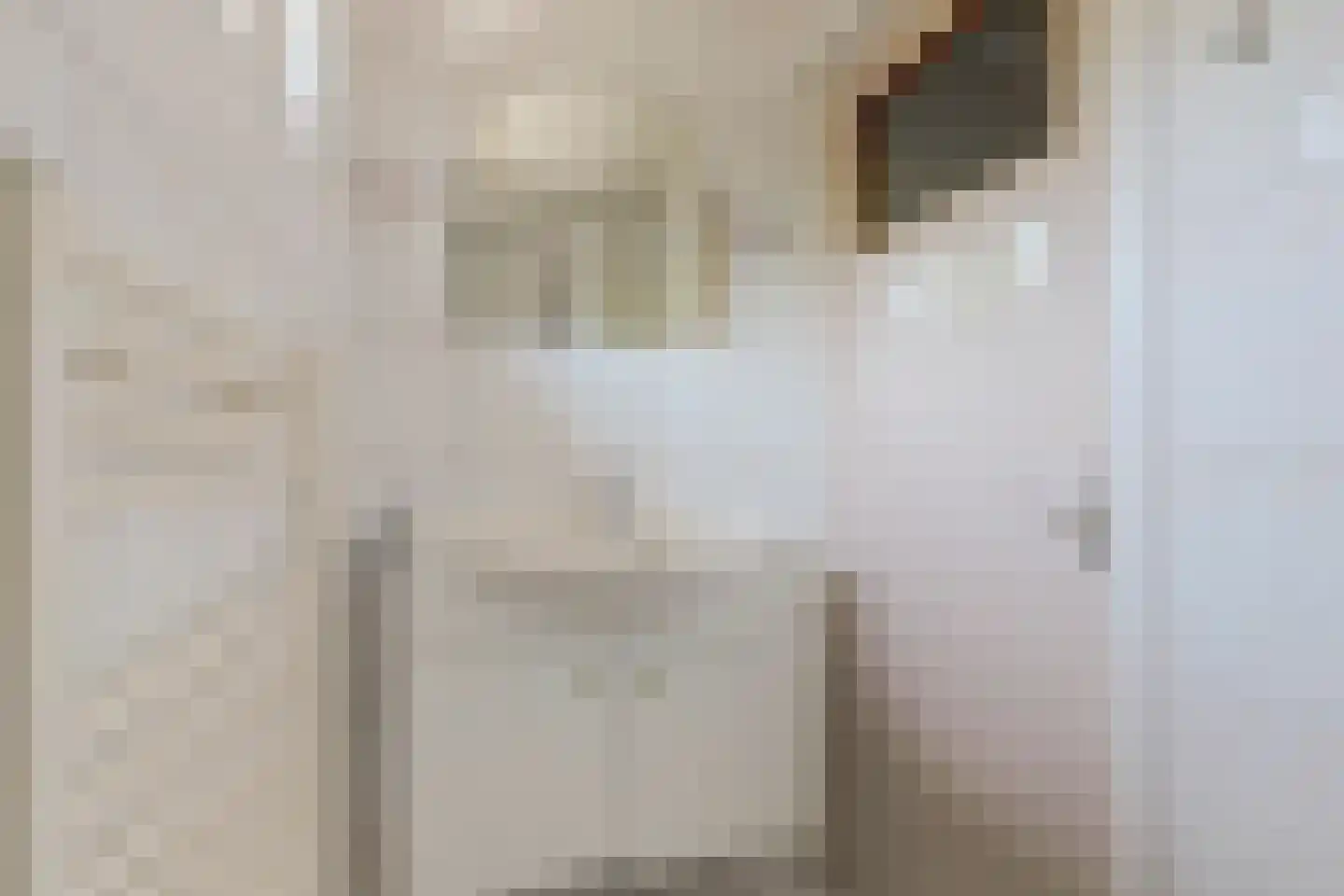 van Hamalstraat 20 De Lier thumbnail 26