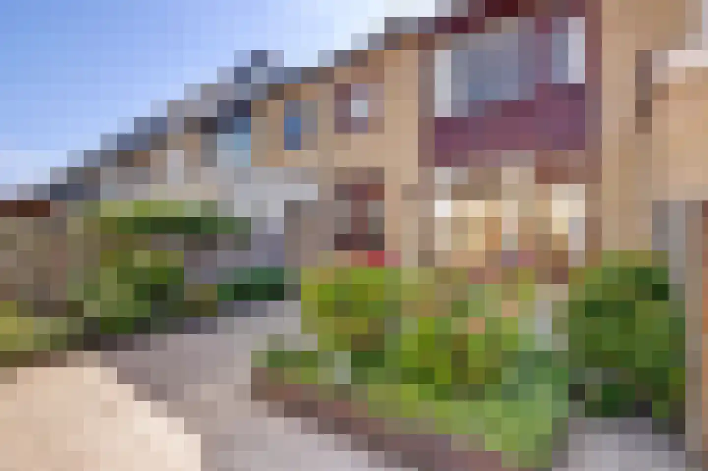 van Hamalstraat 20 De Lier thumbnail 33
