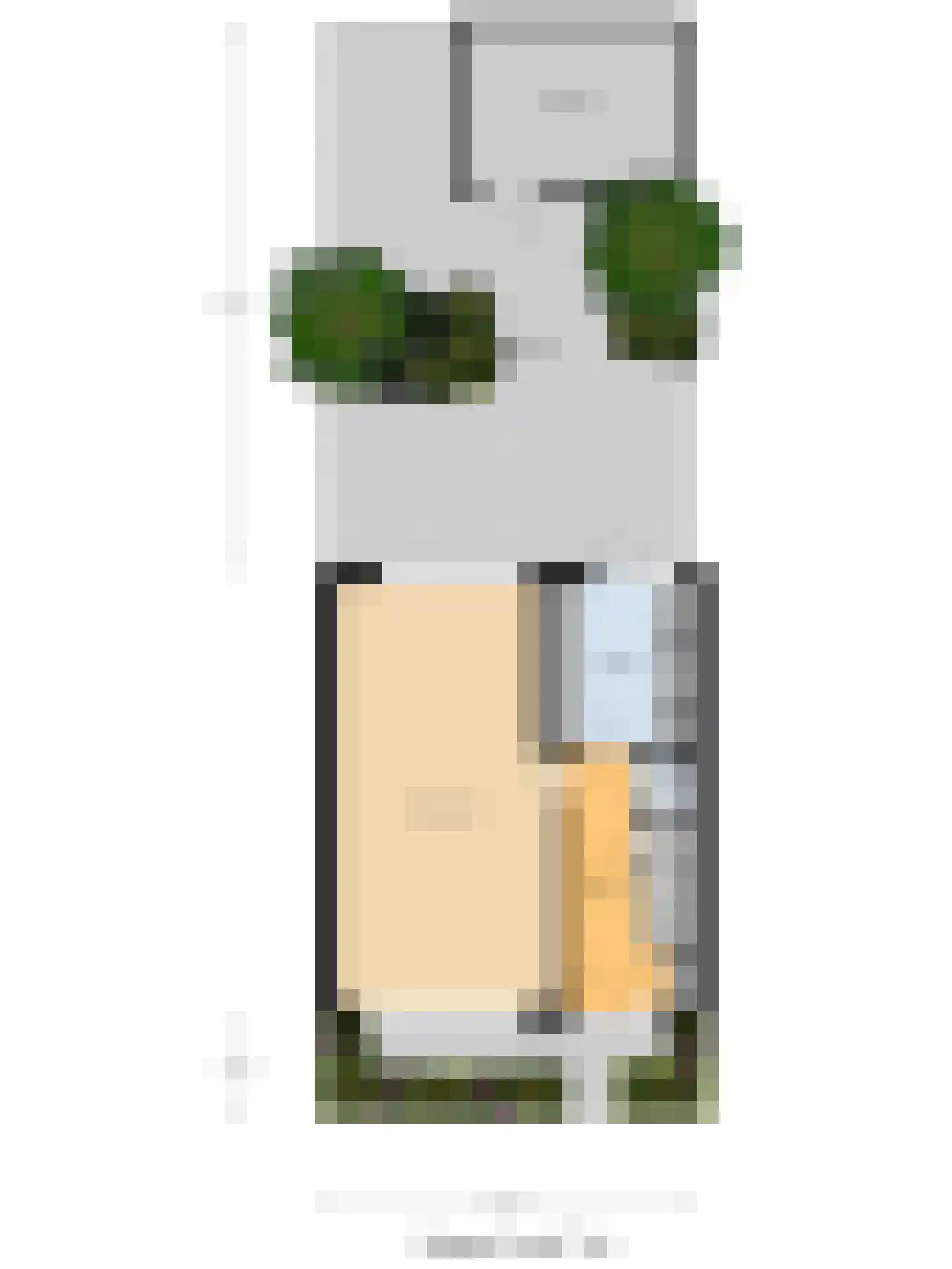 van Hamalstraat 20 De Lier thumbnail 39