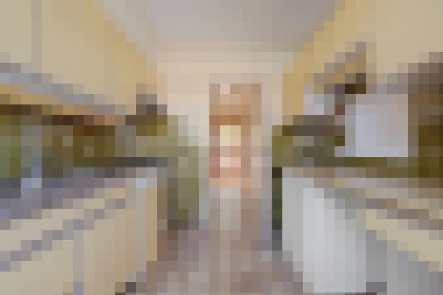 van Hamalstraat 20 De Lier thumbnail 5