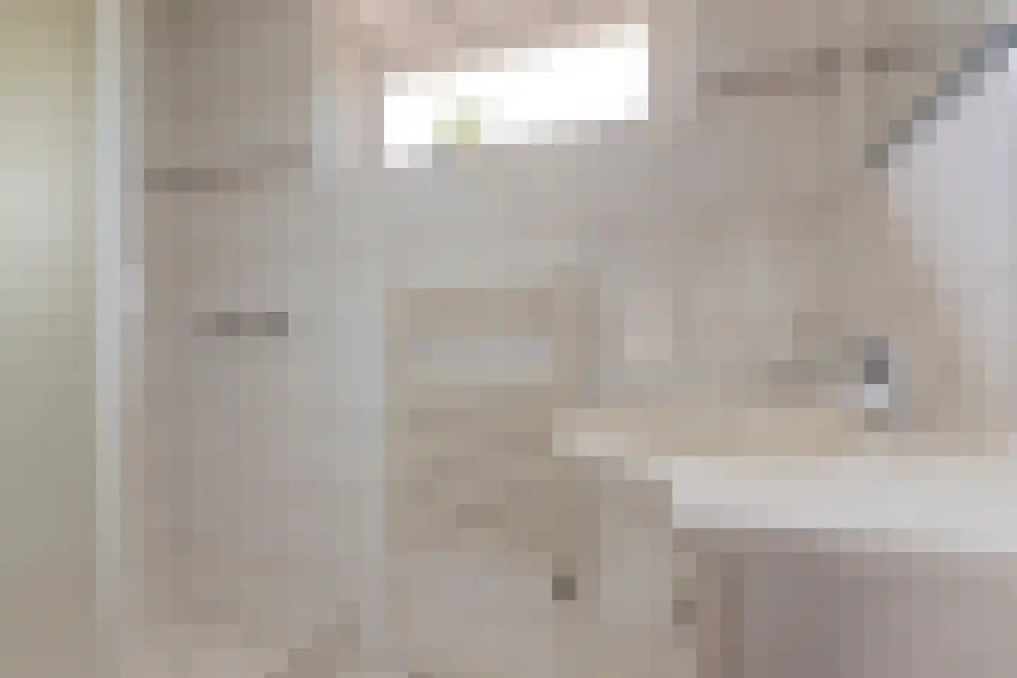van Hamalstraat 20 De Lier thumbnail 6