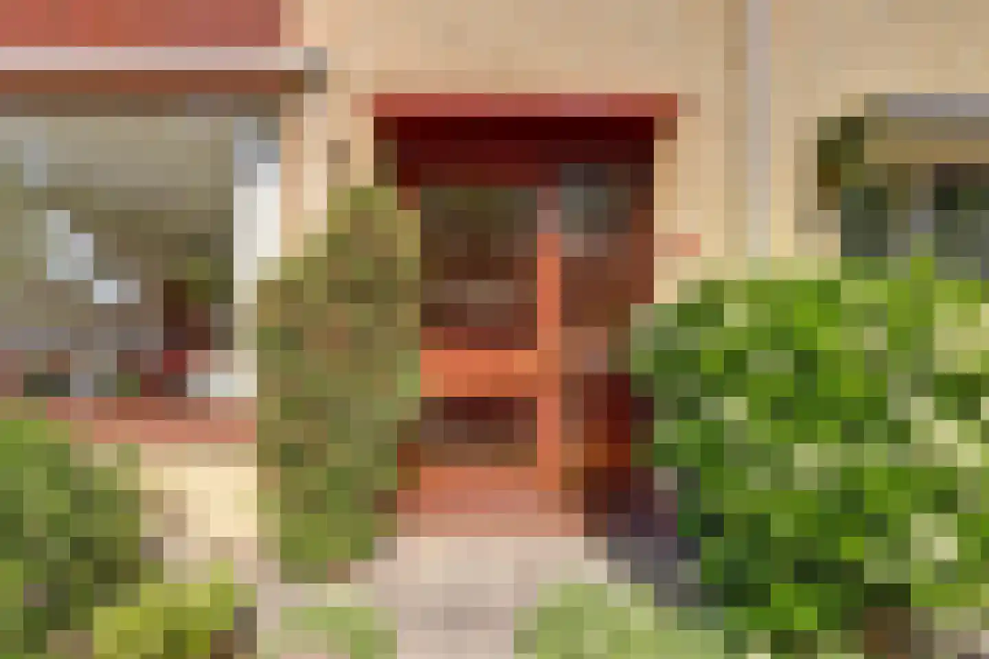 van Hamalstraat 20 De Lier thumbnail 7
