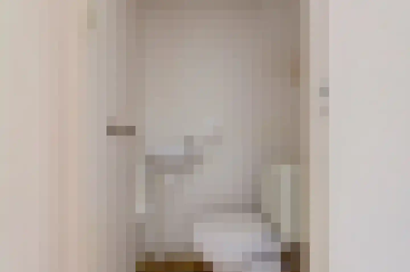 van Hamalstraat 20 De Lier thumbnail 9