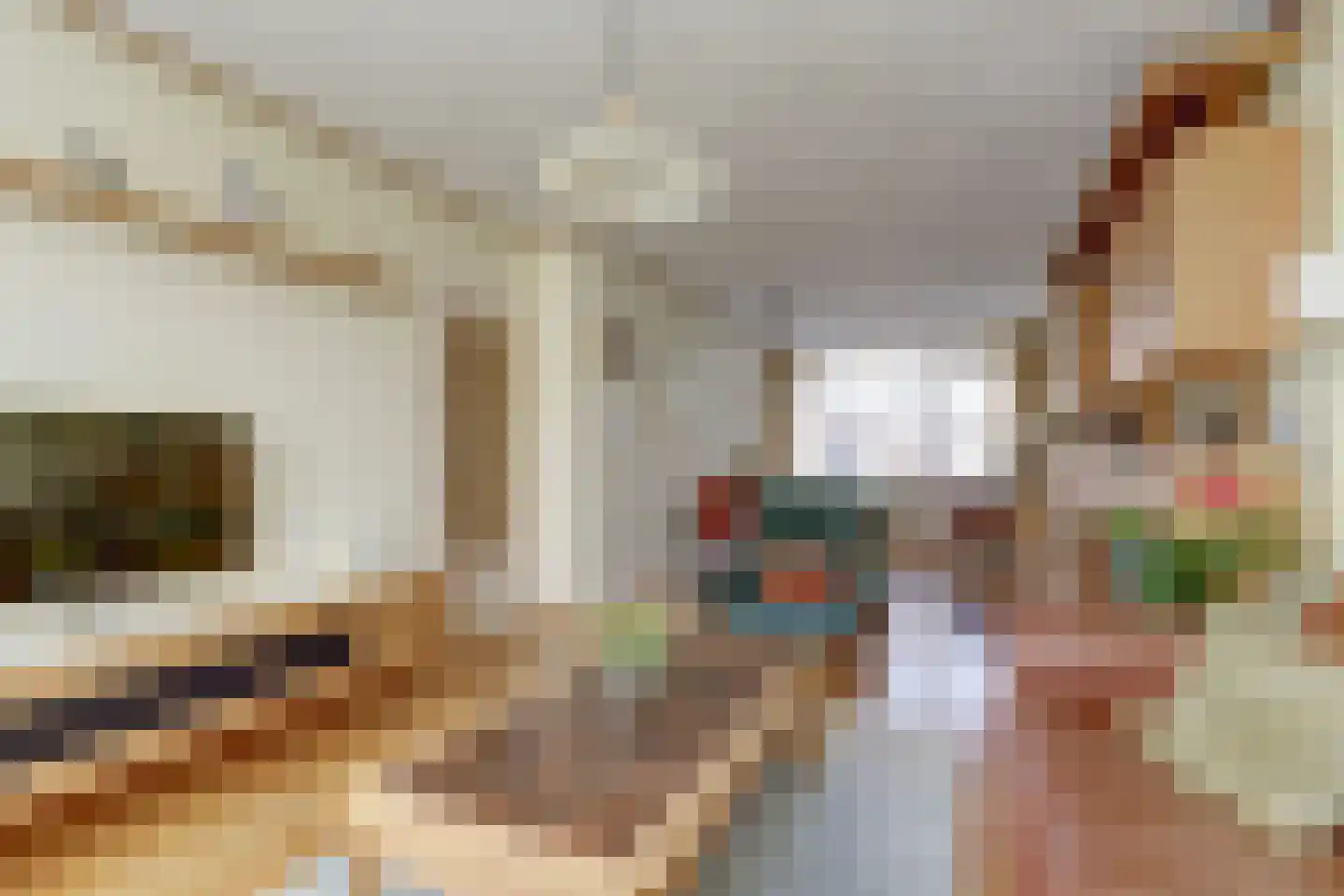 van Hamalstraat 22 De Lier thumbnail 10
