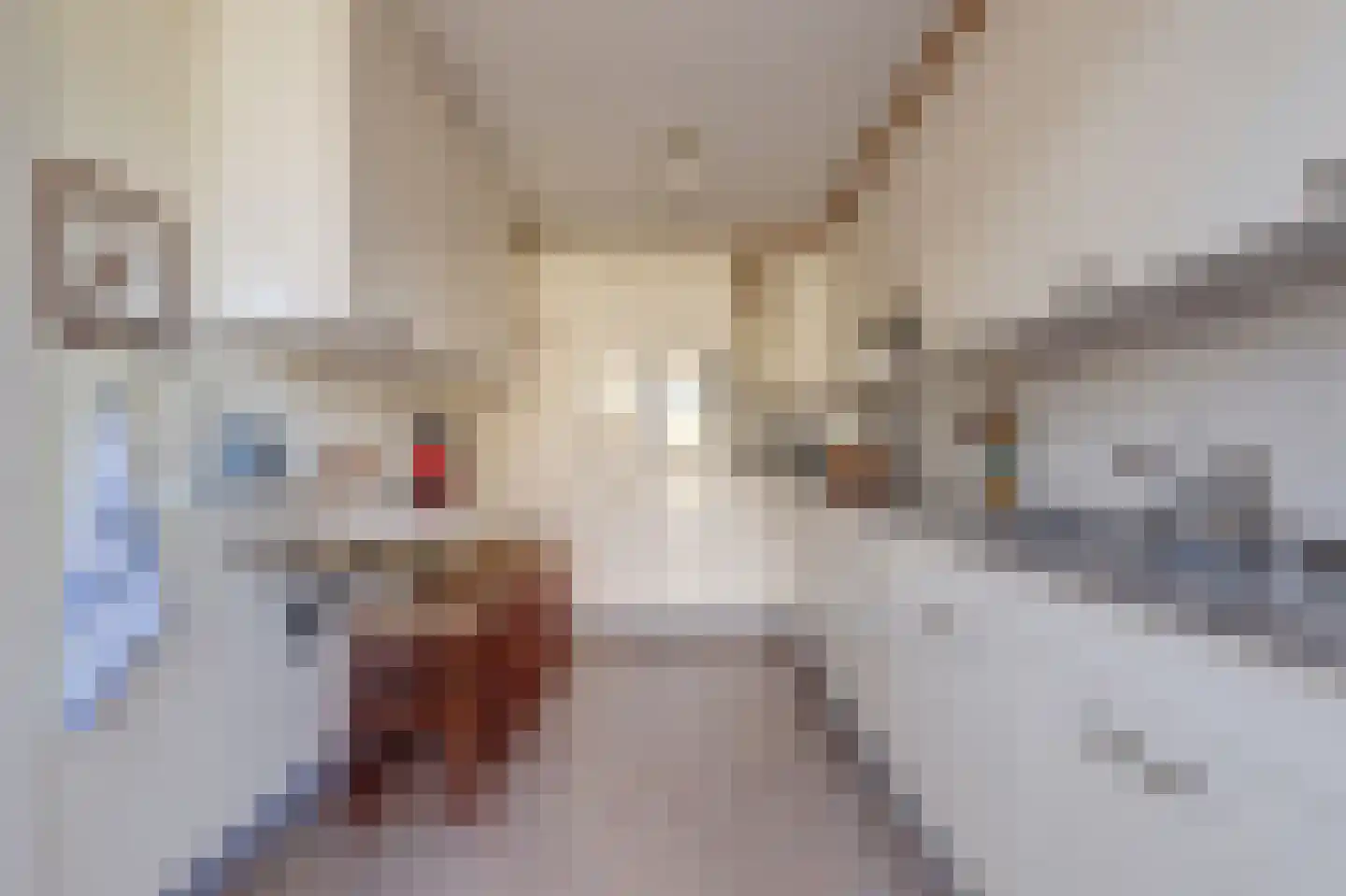 van Hamalstraat 22 De Lier thumbnail 15