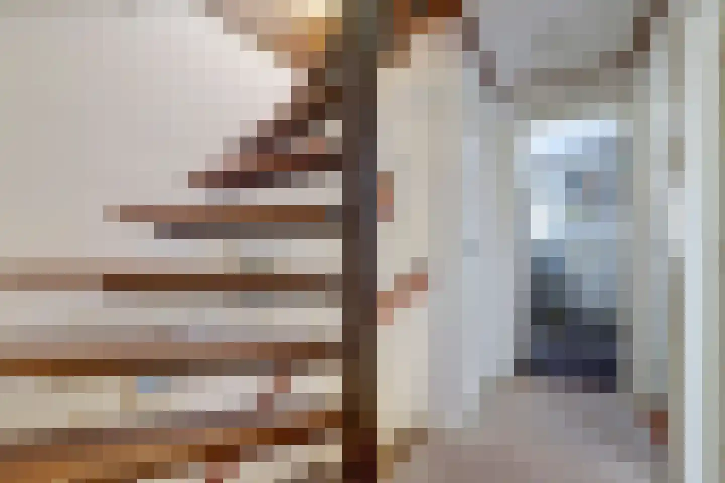 van Hamalstraat 22 De Lier thumbnail 16