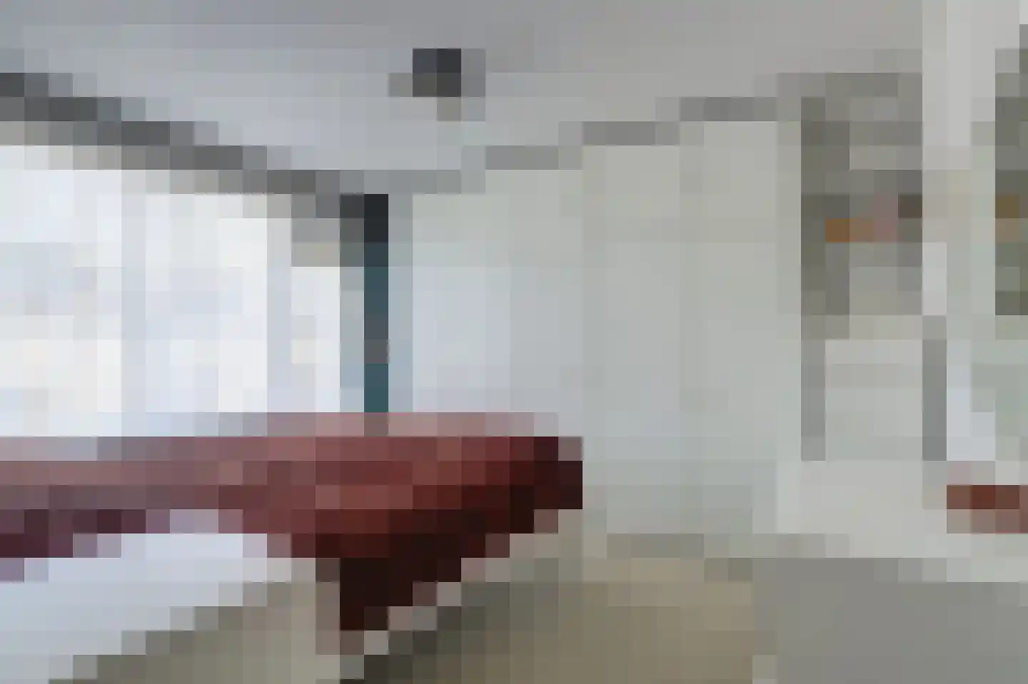 van Hamalstraat 22 De Lier thumbnail 18