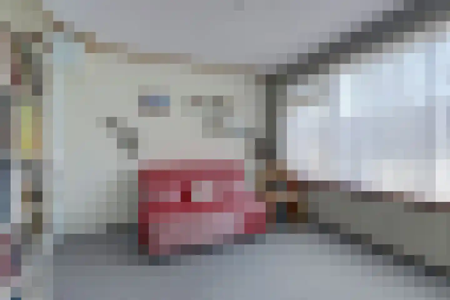 van Hamalstraat 22 De Lier thumbnail 20