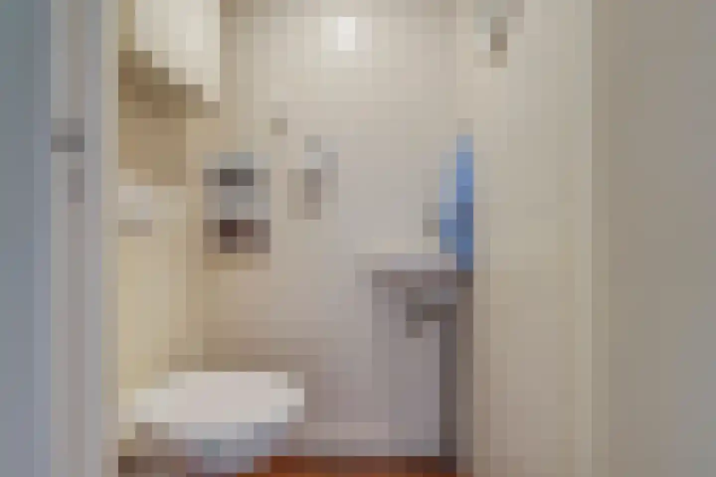 van Hamalstraat 22 De Lier thumbnail 26