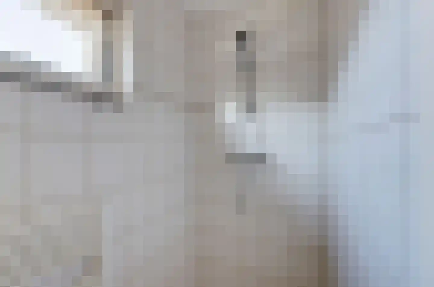 van Hamalstraat 22 De Lier thumbnail 27