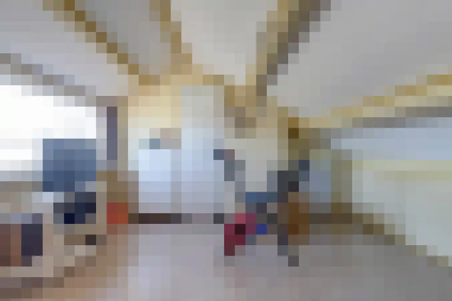 van Hamalstraat 22 De Lier thumbnail 30