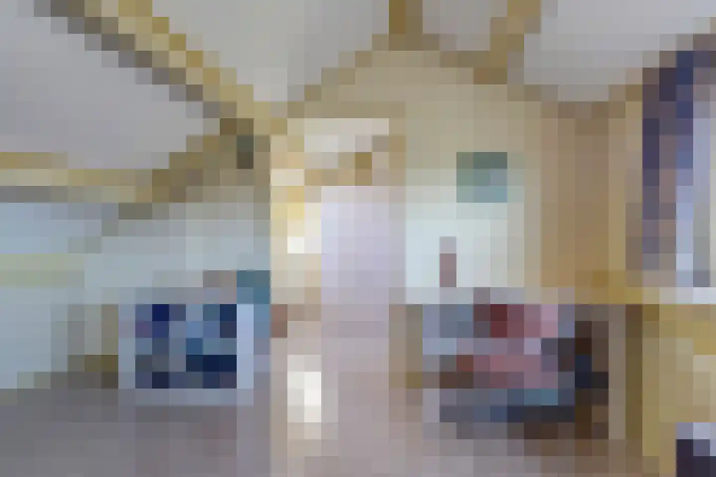 van Hamalstraat 22 De Lier thumbnail 31