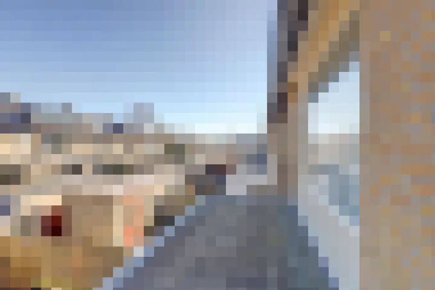 van Hamalstraat 22 De Lier thumbnail 33