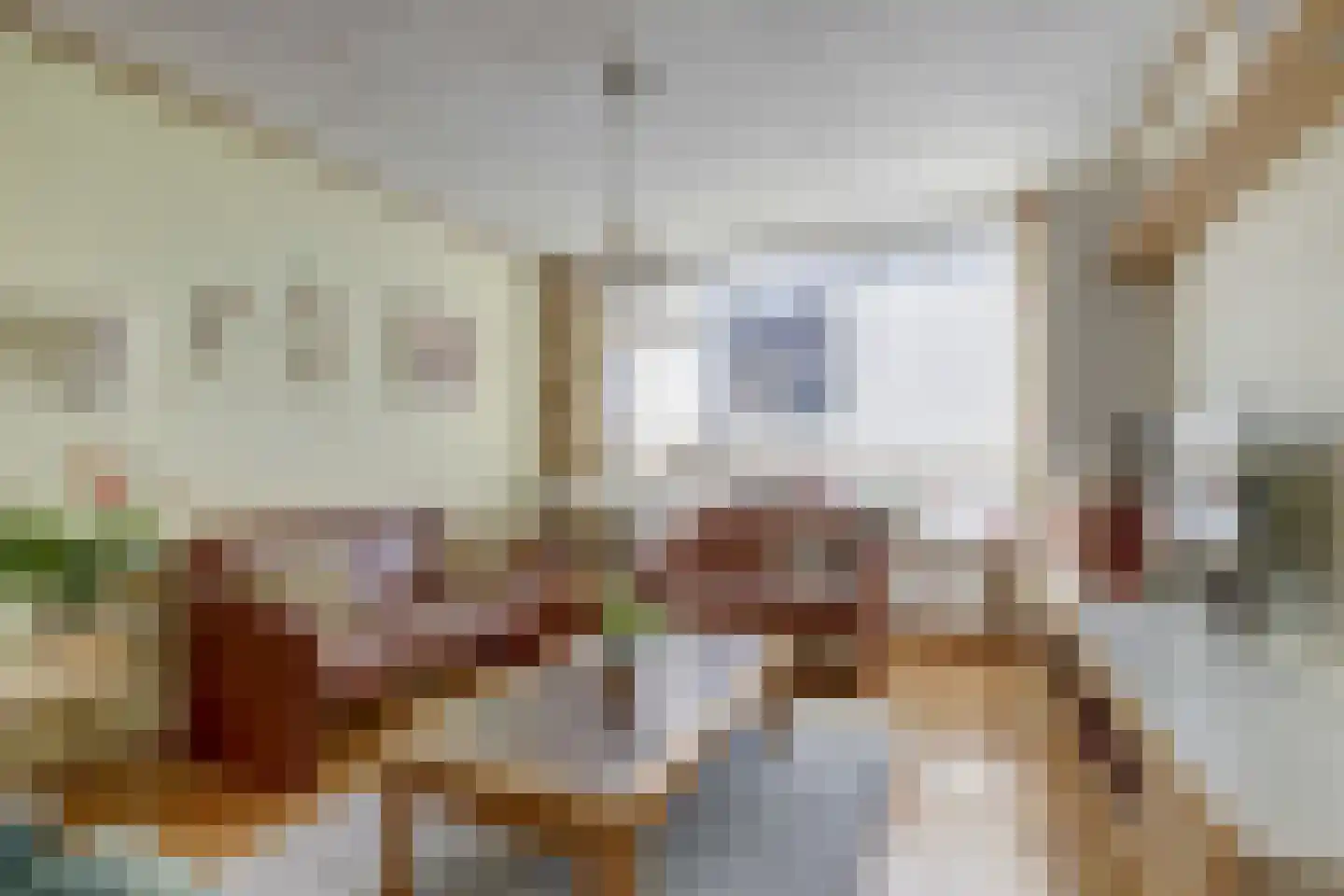 van Hamalstraat 22 De Lier thumbnail 4