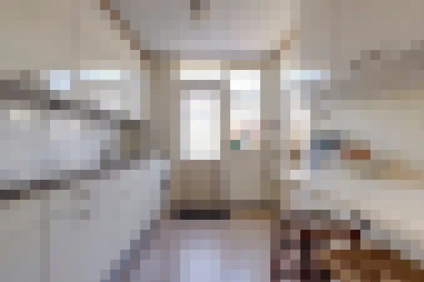 van Hamalstraat 22 De Lier thumbnail 5