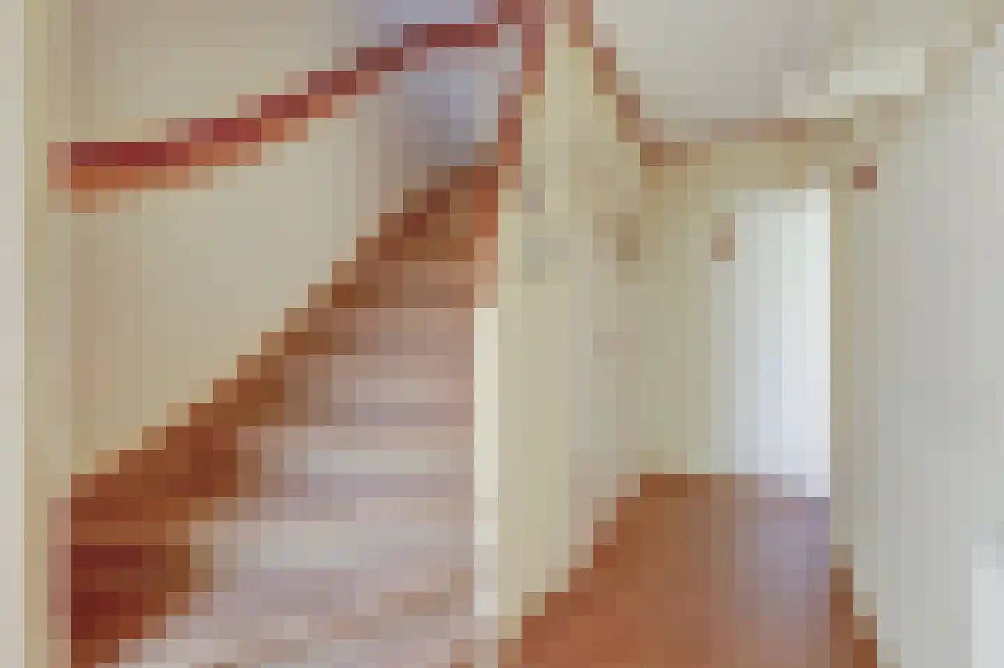 van Hamalstraat 22 De Lier thumbnail 8