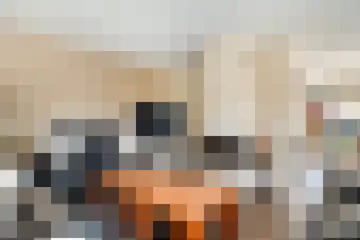 Van Hambroeckmarke 4 Zwolle thumbnail 11