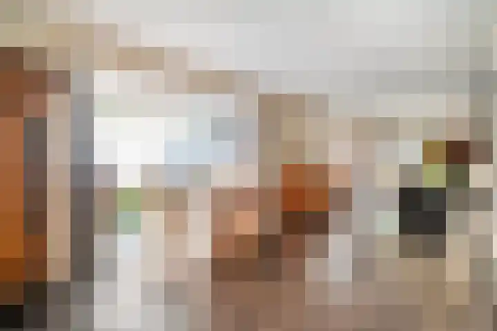 Van Hambroeckmarke 4 Zwolle thumbnail 14