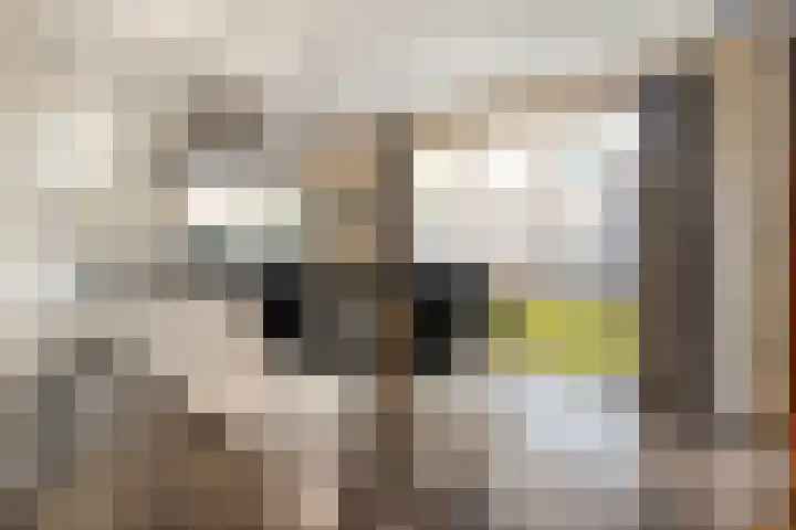 Van Hambroeckmarke 4 Zwolle thumbnail 15