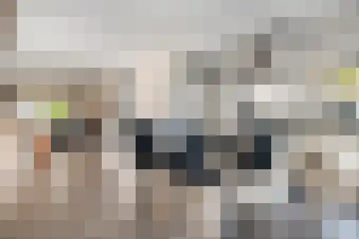 Van Hambroeckmarke 4 Zwolle thumbnail 16