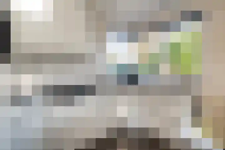 Van Hambroeckmarke 4 Zwolle thumbnail 17