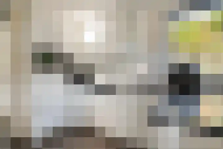 Van Hambroeckmarke 4 Zwolle thumbnail 18