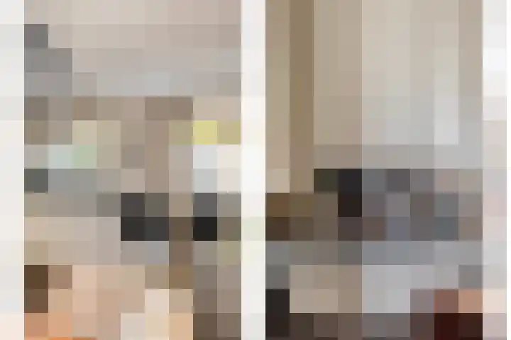 Van Hambroeckmarke 4 Zwolle thumbnail 20