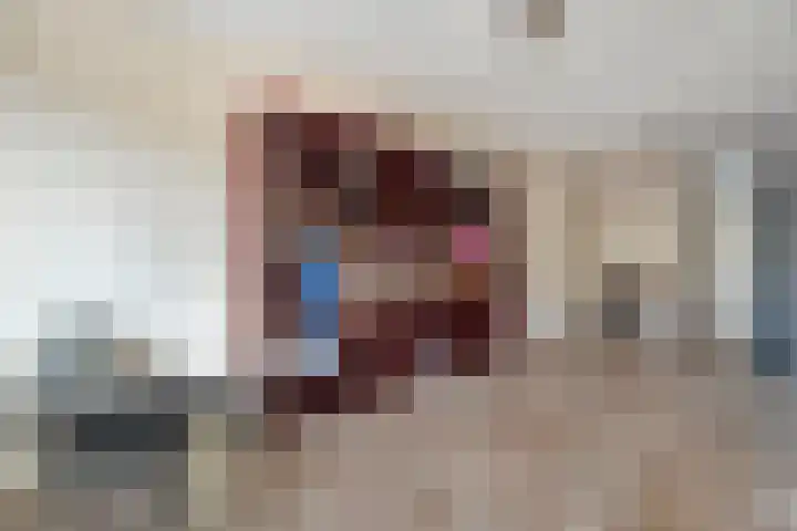 Van Hambroeckmarke 4 Zwolle thumbnail 21