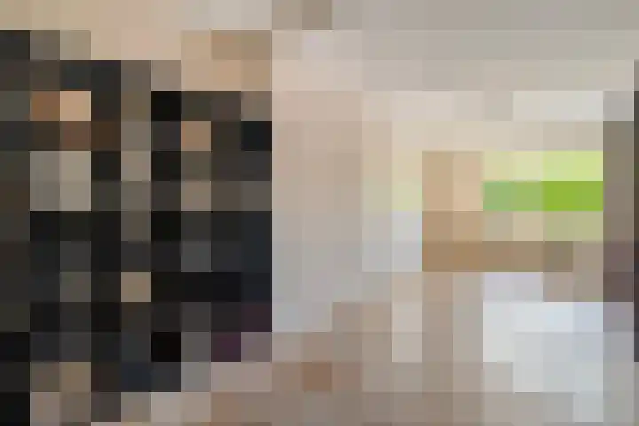 Van Hambroeckmarke 4 Zwolle thumbnail 22
