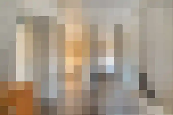 Van Hambroeckmarke 4 Zwolle thumbnail 25