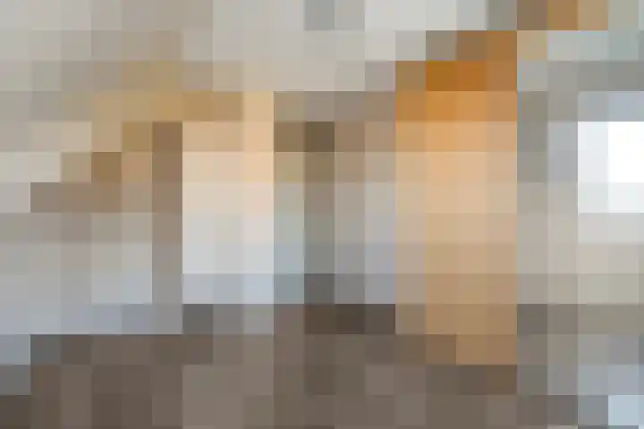 Van Hambroeckmarke 4 Zwolle thumbnail 27