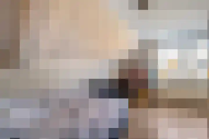 Van Hambroeckmarke 4 Zwolle thumbnail 28