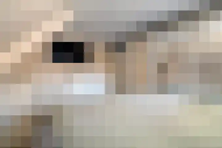Van Hambroeckmarke 4 Zwolle thumbnail 31