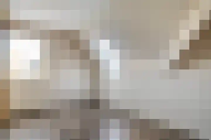 Van Hambroeckmarke 4 Zwolle thumbnail 32