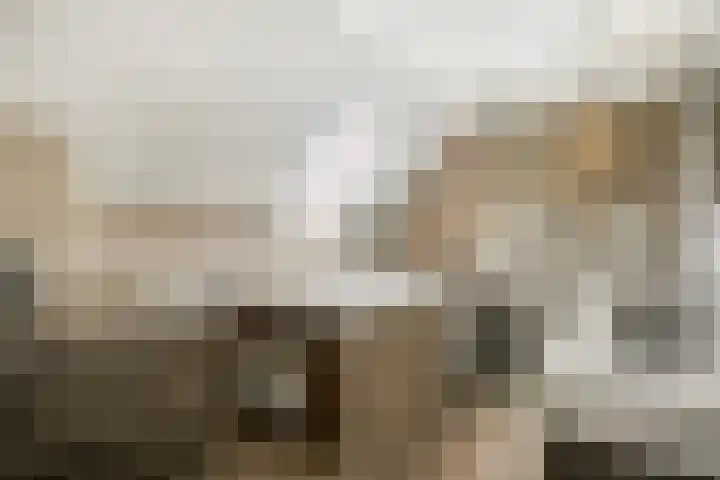 Van Hambroeckmarke 4 Zwolle thumbnail 34