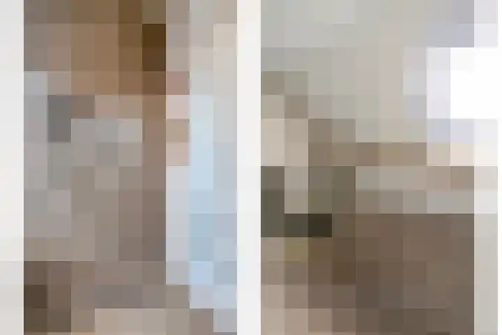 Van Hambroeckmarke 4 Zwolle thumbnail 36