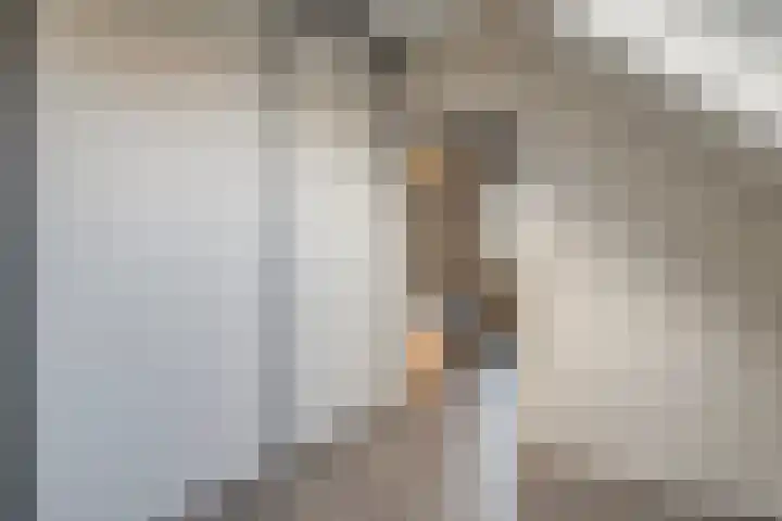 Van Hambroeckmarke 4 Zwolle thumbnail 38