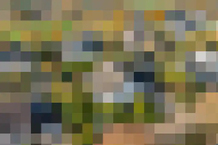 Van Hambroeckmarke 4 Zwolle thumbnail 4