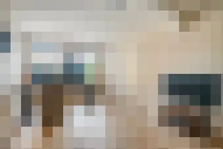 Van Hambroeckmarke 4 Zwolle thumbnail 47