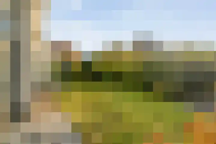Van Hambroeckmarke 4 Zwolle thumbnail 48