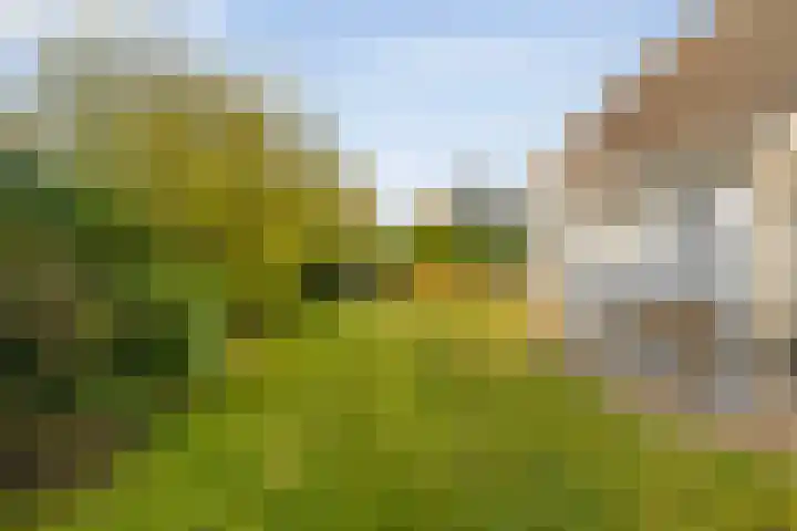 Van Hambroeckmarke 4 Zwolle thumbnail 49