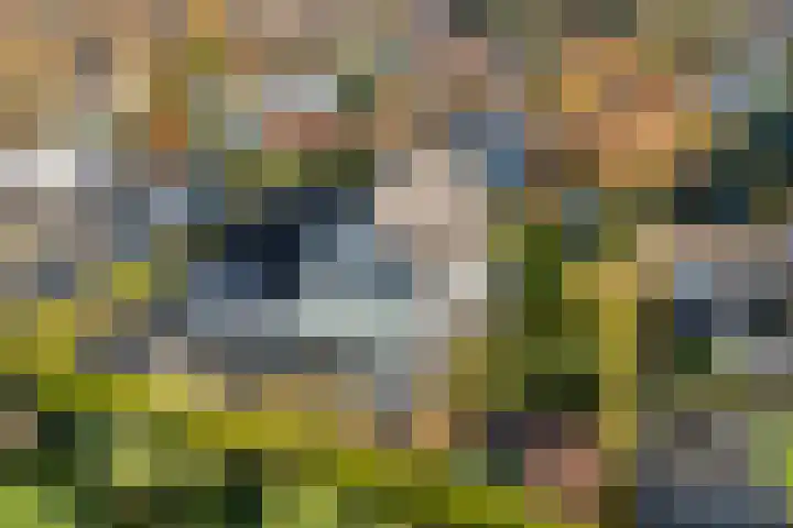 Van Hambroeckmarke 4 Zwolle thumbnail 5