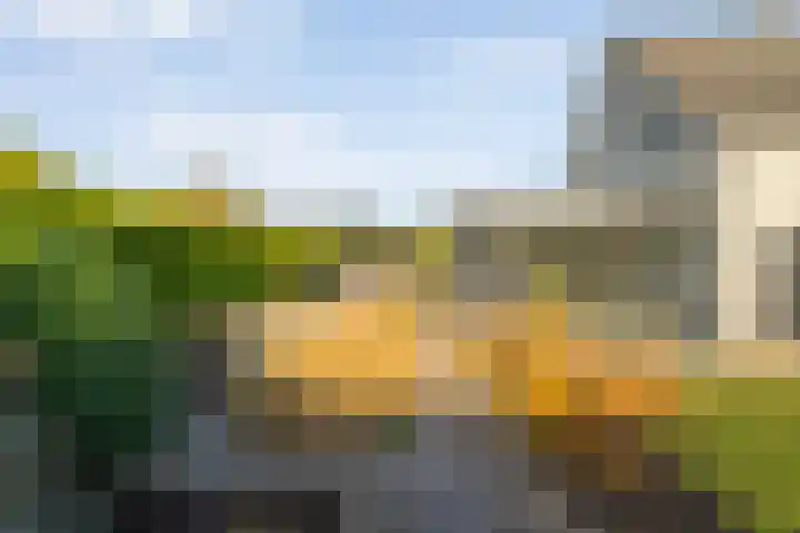Van Hambroeckmarke 4 Zwolle thumbnail 50
