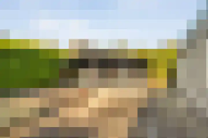 Van Hambroeckmarke 4 Zwolle thumbnail 51